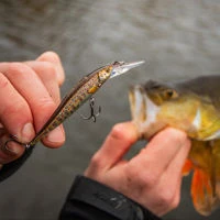 Westin Jerkbite SR Jerkbaits 7.5cm/5g